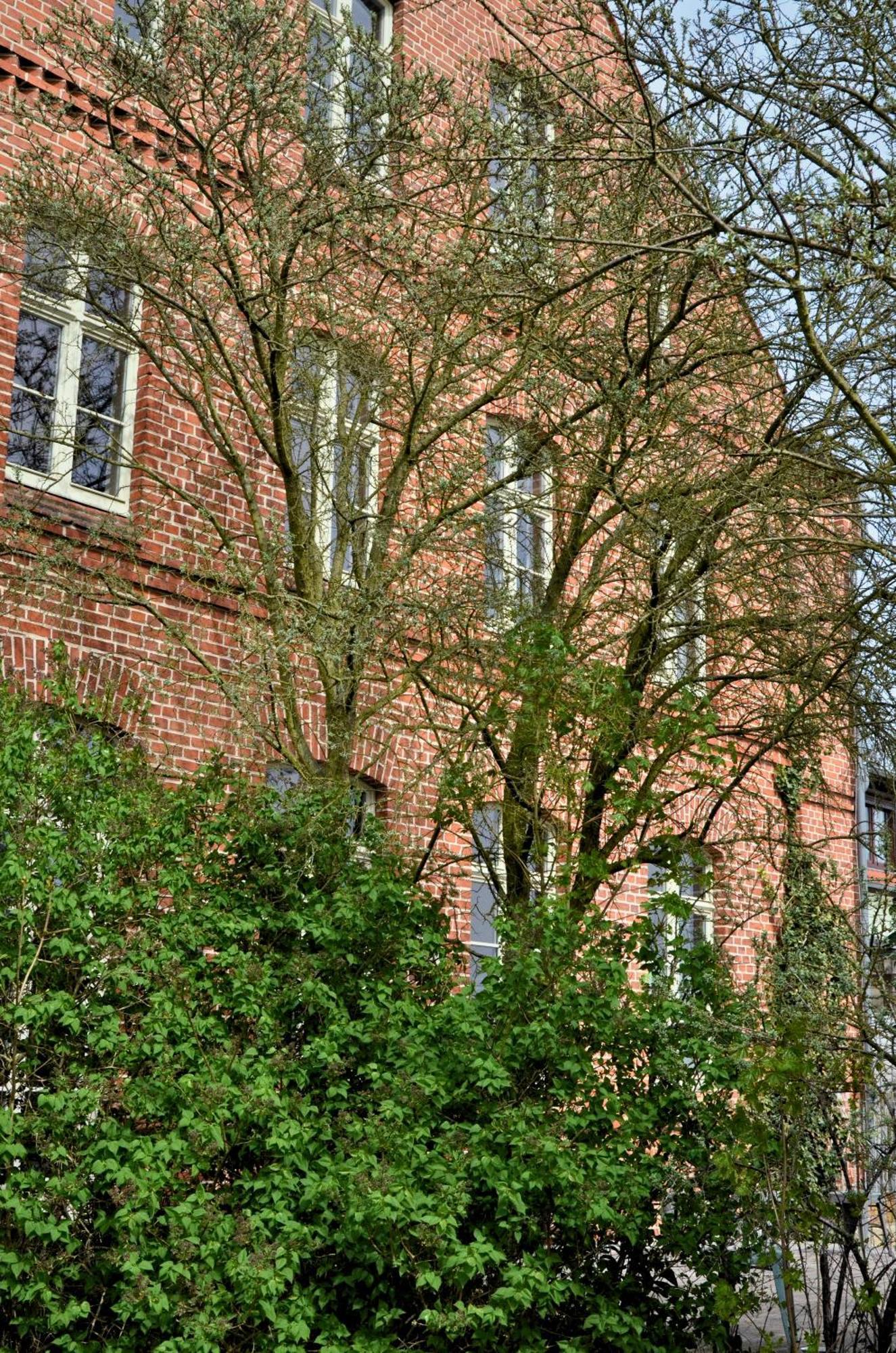 Hotel Hug&Dim Wandlitz Exterior foto