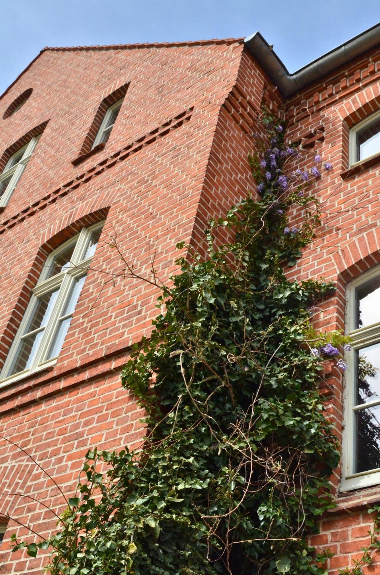 Hotel Hug&Dim Wandlitz Exterior foto